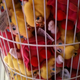 Image for article titled Odd And Odder Mario Sightings In New York